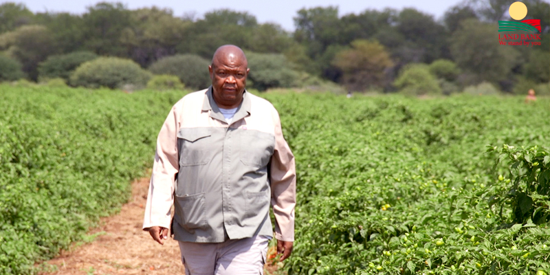 Raletjena Simon Farm.jpg